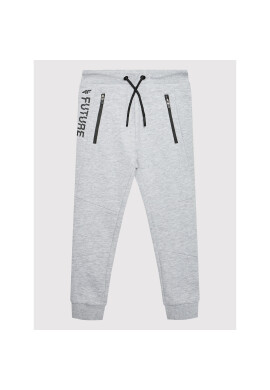 4F Долнище анцуг HJL22-JSPMD003 Сив Regular Fit - Pepit.bg