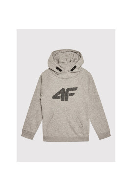 4F Суитшърт HJZ21-JBLM001 Сив Regular Fit - Pepit.bg
