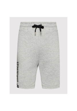 Alpha Industries Спортни шорти Basic 116364 Сив Regular Fit - Pepit.bg