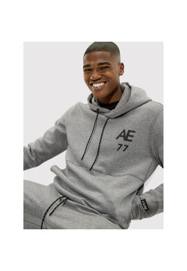American Eagle Суитшърт 019-0193-1694 Сив Regular Fit - Pepit.bg