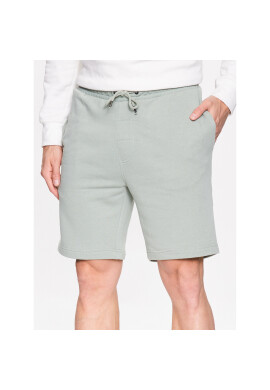 Brave Soul Шорти от плат MSRT-69TARLEY15 Зелен Regular Fit - Pepit.bg
