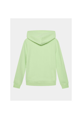 Calvin Klein Jeans Суитшърт Stack Logo IB0IB01293 Зелен Regular Fit - Pepit.bg