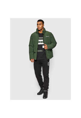 Champion Пухено яке High Neck Script Logo 216953 Зелен Regular Fit - Pepit.bg