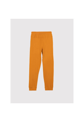 Coccodrillo Долнище анцуг ZC1120116EVB Жълт Regular Fit - Pepit.bg