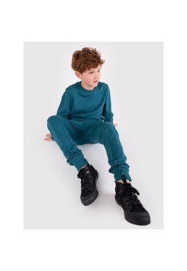 Coccodrillo Долнище анцуг ZC1120114EVB Зелен Regular Fit - Pepit.bg