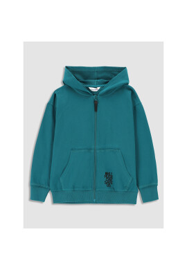 Coccodrillo Суитшърт WC3132401EVB Зелен Regular Fit - Pepit.bg