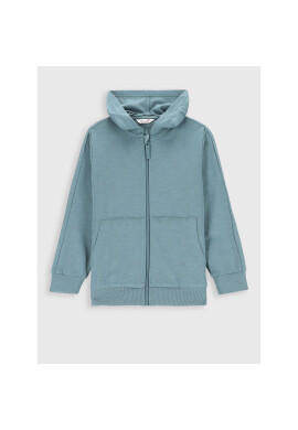 Coccodrillo Суитшърт ZC2132401EVB Син Regular Fit - Pepit.bg