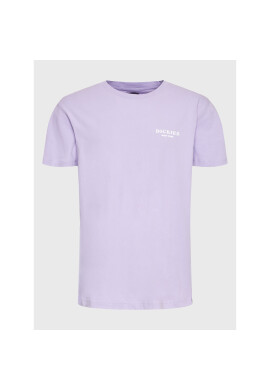 Dickies Тишърт Oatfield DK0A4Y8VE61 Виолетов Regular Fit - Pepit.bg