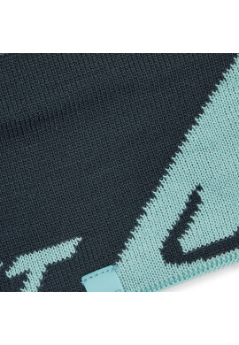 Dynafit Лента за глава Leopard Logo 08-70513 Зелен - Pepit.bg