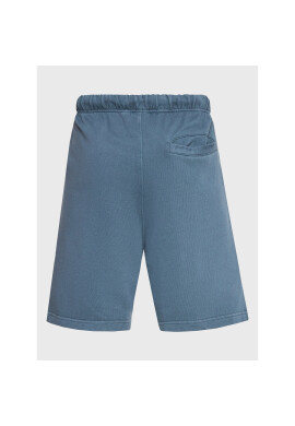 Element Спортни шорти Cornell ELYNS03001 Син Regular Fit - Pepit.bg