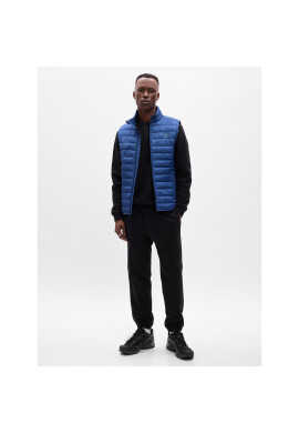 Gap Елек 724655-02 Син Regular Fit - Pepit.bg