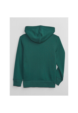 Gap Суитшърт 772017-01 Зелен Regular Fit - Pepit.bg