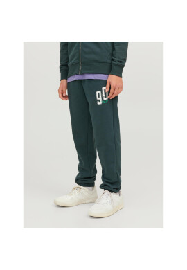 Jack&Jones Junior Долнище анцуг 12243083 Зелен Relaxed Fit - Pepit.bg
