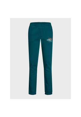 Jack&Jones Junior Долнище анцуг Gordon 12221570 Зелен Regular Fit - Pepit.bg