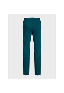 Jack&Jones Junior Долнище анцуг Gordon 12221570 Зелен Regular Fit - Pepit.bg