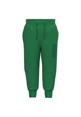 NAME IT Долнище анцуг 13218859 Зелен Regular Fit - Pepit.bg