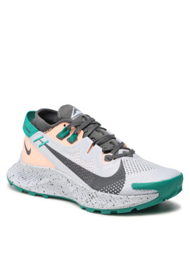 Nike Обувки Pegasus Trail 2 CK4309 004 Сив - Pepit.bg