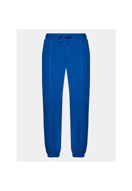 Outhorn Долнище анцуг OTHAW23TTROM442 Син Regular Fit - Pepit.bg