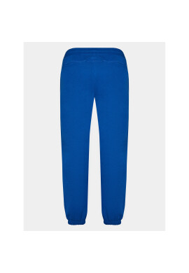 Outhorn Долнище анцуг OTHAW23TTROM442 Син Regular Fit - Pepit.bg