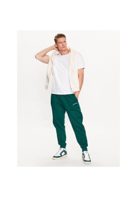 Outhorn Долнище анцуг OTHSS23TTROM189 Зелен Regular Fit - Pepit.bg