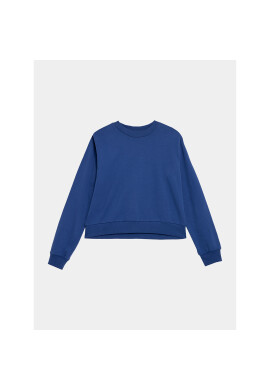 Outhorn Суитшърт OTHAW23TSWSF668 Син Regular Fit - Pepit.bg