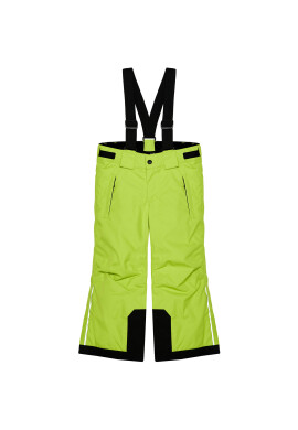 Reima Ски панталони Takeoff 532187 Зелен Regular Fit - Pepit.bg