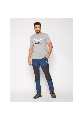 Salewa Тишърт Solidlogo Dry 27018 Сив Regular Fit - Pepit.bg