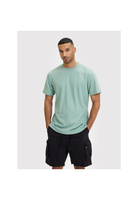Selected Homme Тишърт Eshan 16084630 Зелен Regular Fit - Pepit.bg