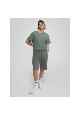 Sprandi Спортни шорти SS21-SHM003 Зелен Regular Fit - Pepit.bg