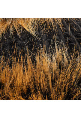 Starling Шапка Baja H020 Цветен - Pepit.bg