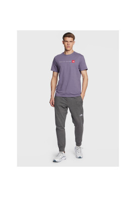 The North Face Тишърт Never Stop Exploring NF0A7X1M Виолетов Regular Fit - Pepit.bg