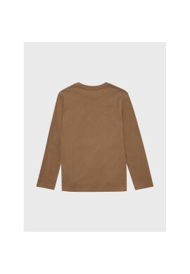 Tom Tailor Блуза 1033792 Кафяв Regular Fit - Pepit.bg