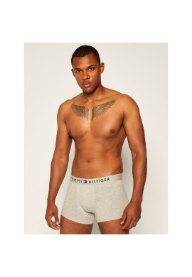 Tommy Hilfiger Боксерки UM0UM01646 Сив - Pepit.bg