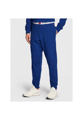 Tommy Hilfiger Долнище анцуг UM0UM01769 Син Regular Fit - Pepit.bg