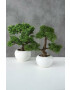 Boltze Изкуствено дърво в саксия Conifer Bonsai - Pepit.bg