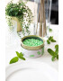 CandleCan Ароматизирана свещ Mint Beans - Pepit.bg