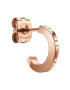 Daniel Wellington Обици - Pepit.bg