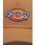 Dickies Шапка в кафяво с апликация - Pepit.bg