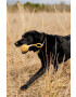 Field + Wander Играчка за куче Dog Rope Toy - Pepit.bg