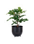 House Nordic Изкуствено дърво в саксия Fig tree - Pepit.bg