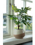 House Nordic Изкуствено дърво в саксия Fig tree - Pepit.bg