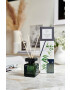 Ipuro Арома дифузер Black Bamboo 100 ml - Pepit.bg