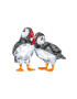 Swarovski Декорация Atlantic Puffins (2 броя) - Pepit.bg