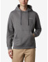 Columbia Viewmont™ II Sweatshirt Siv - Pepit.bg