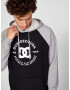 DC Sweatshirt Cheren Siv - Pepit.bg