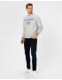 Diesel S-Girk Sweatshirt Siv - Pepit.bg