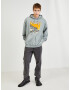 Diesel Sweatshirt Siv - Pepit.bg