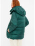 GAP Winter jacket Zelen - Pepit.bg