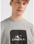 O'Neill Cube Crew Sweatshirt Siv - Pepit.bg