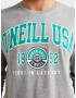 O'Neill State T-shirt Siv - Pepit.bg